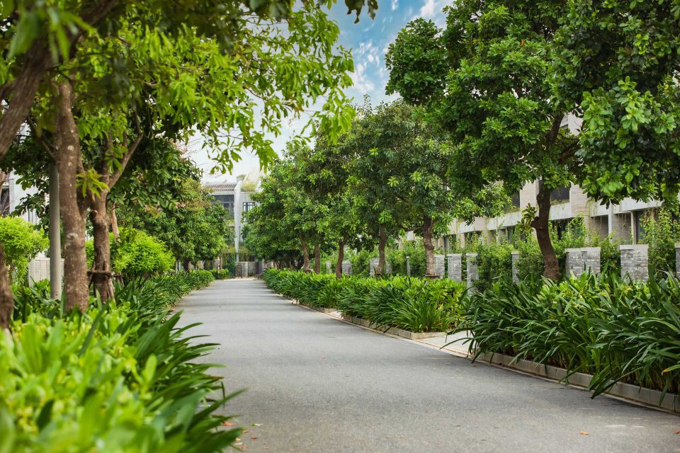 Những con đường xanh mượt tại Casamia Hội An